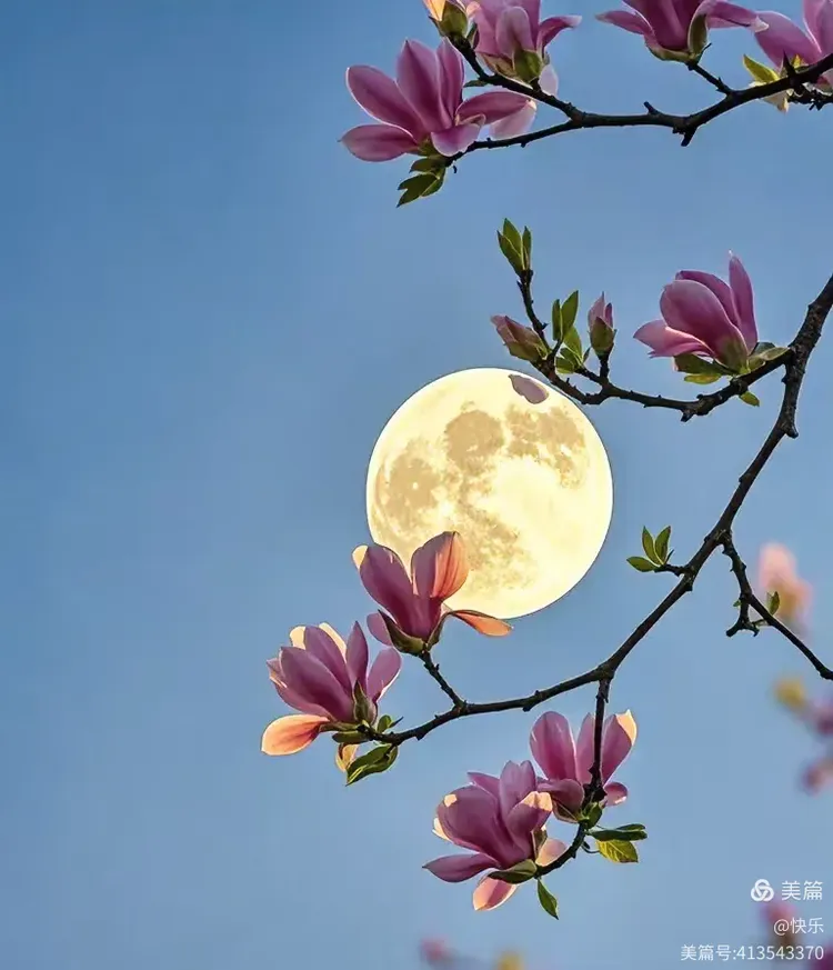 月字飞花令100句